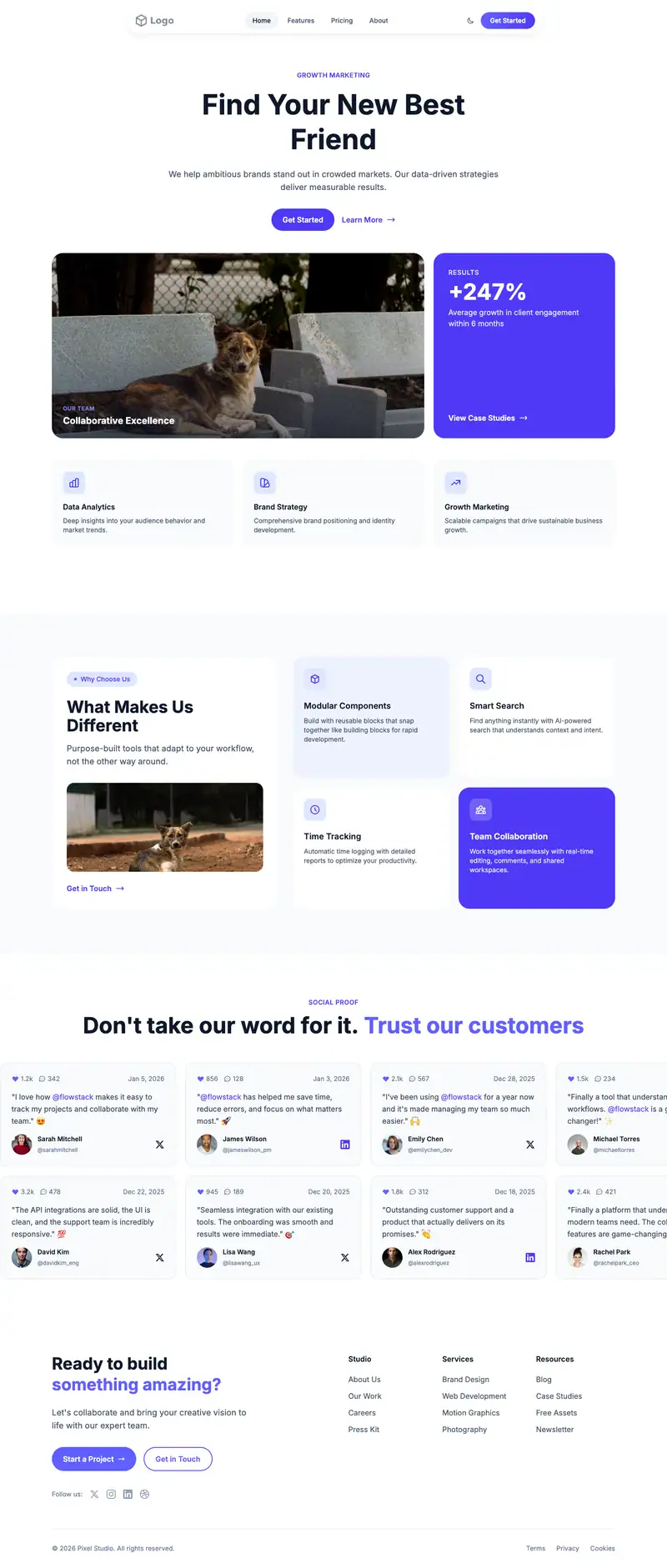 Animal Shelter template